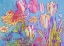 Picture of REBEL YELL TULIPS