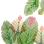Picture of FLOWERING CACTUS II