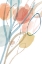 Picture of ANGELINE II