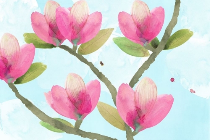 Picture of PINK MAGNOLIA III