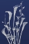 Picture of FREIENDS FOREVER IN INDIGO