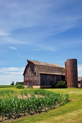 Picture of OLD BROWN BARN