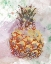 Picture of ANANAS III