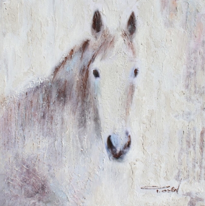Picture of WHITE BAY HORSE