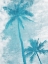 Picture of BLUE PALM TREES
