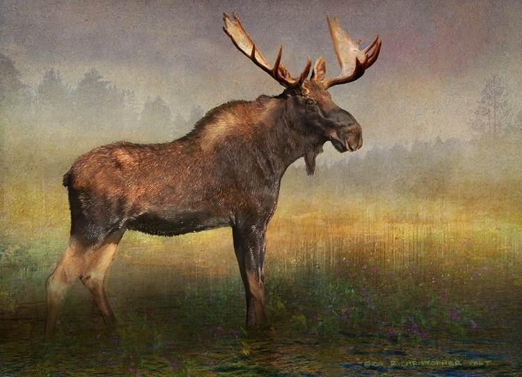Picture of MOOSE IN FOG AND FLOWERS