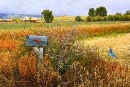 Picture of RANCH MAILBOX