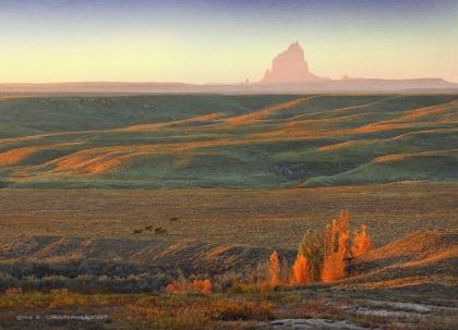 Picture of ROLLING HILLS SHIPROCK DAWN