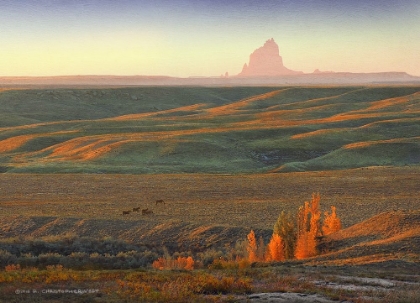 Picture of ROLLING HILLS SHIPROCK DAWN