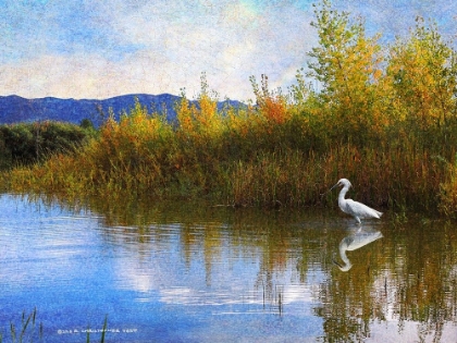 Picture of THE MARSH SNOWY EGRET