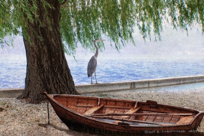 Picture of WILLOW TREE AT MAGGIORI