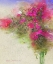 Picture of CASCADE OF ROSES