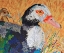 Picture of AND THE DUCK SAID QUACK