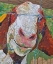 Picture of NANNY
