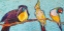 Picture of BIRDS ON A WIRE