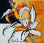 Picture of LILY FLORAL STUDY
