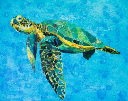 Picture of FLOATING SEA TURTLE