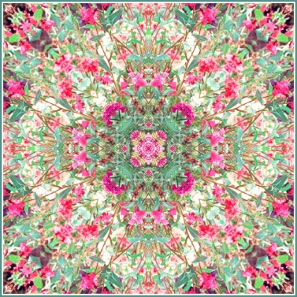 Picture of MANDALA AZALEA