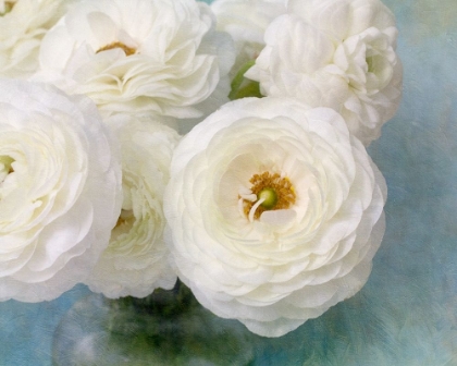 Picture of WHITE BOUQUET