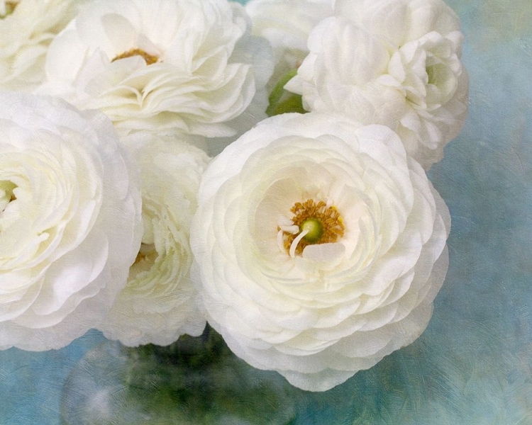 Picture of WHITE BOUQUET