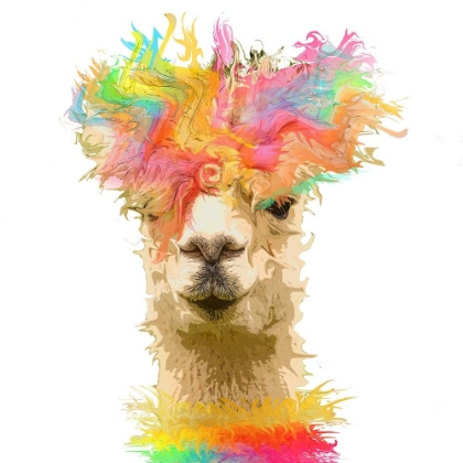 Picture of LLAMA PAINT
