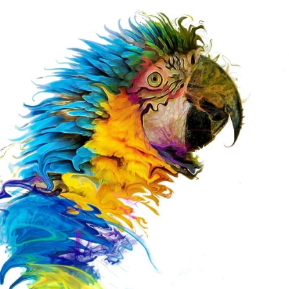 Picture of PARROT PAINT