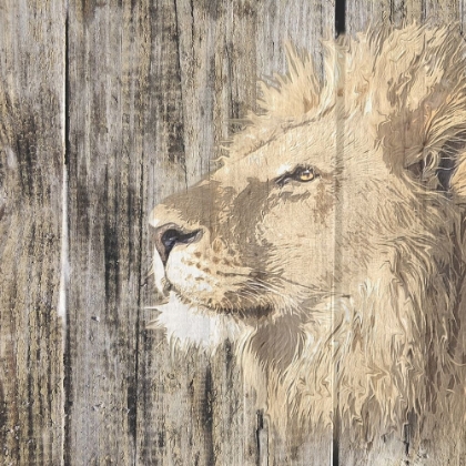 Picture of WILDHEADS LION