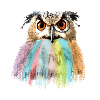 Picture of OWL PAINT