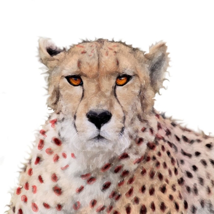 Picture of CHEETAH PAINT