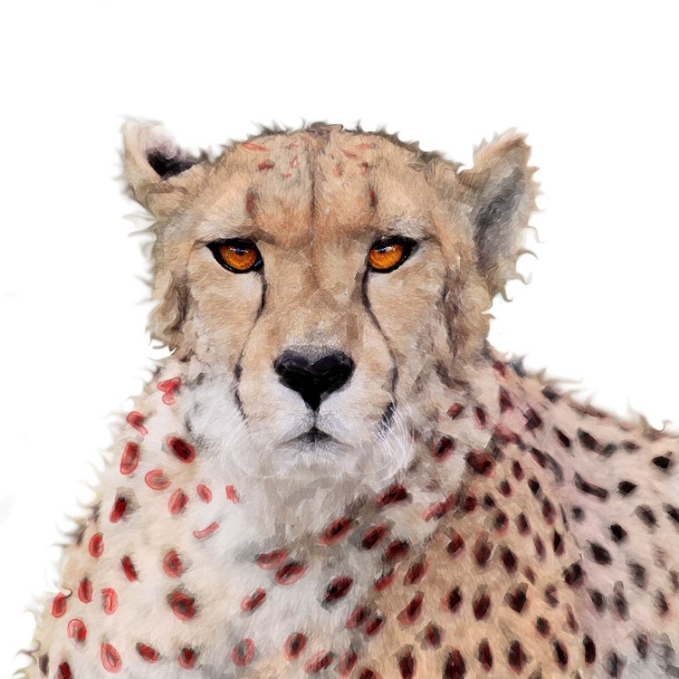 Picture of CHEETAH PAINT