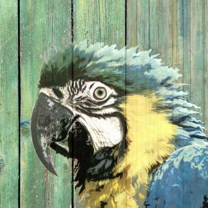 Picture of BIRD HEADS III