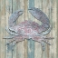Picture of CRAB