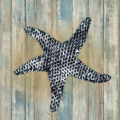 Picture of STARFISH