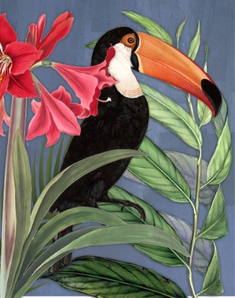 Picture of TOUCAN JUNGLE I
