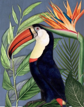 Picture of TOUCAN JUNGLE II