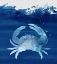 Picture of OCEANIANA II
