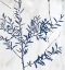 Picture of BLUE MOVES I