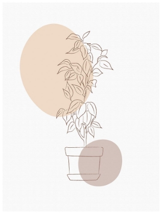 Picture of ABSTRACT MINIMAL FLOURISH POT