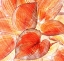 Picture of BOTANIC ORANGES