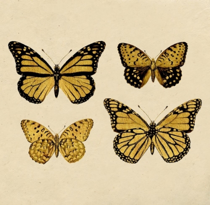 Picture of MARIPOSAS