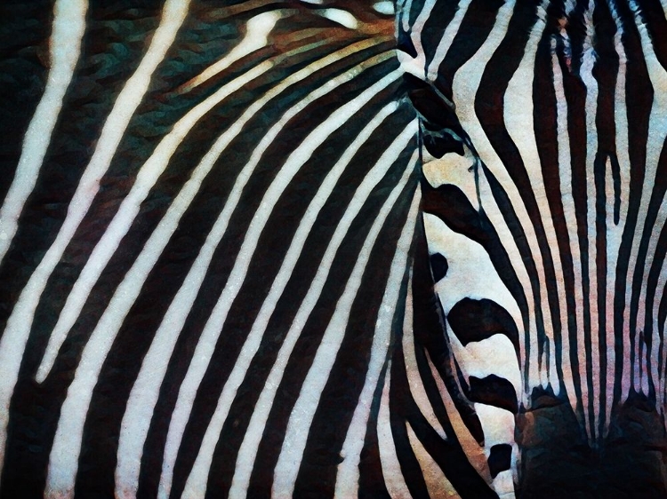 Picture of BLACK AND WHITE ZEBRA STRIPES I