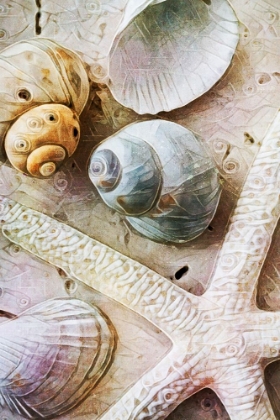 Picture of SEASHELLS ON SAND  STARFISH ON LAND I