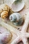 Picture of SEASHELLS ON SAND  STARFISH ON LAND I