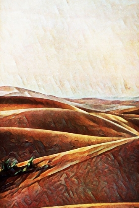 Picture of SAHARA SAND DUNES IV