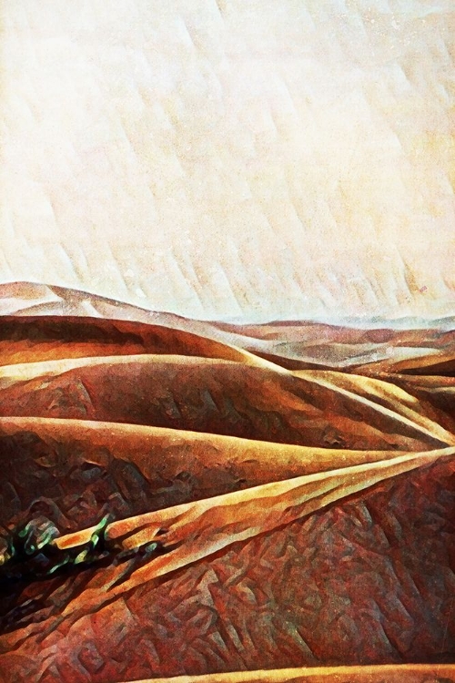Picture of SAHARA SAND DUNES IV