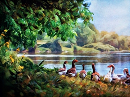 Picture of GAGGLE OF GEESE 