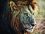 Picture of LION STALKING PREY
