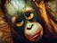 Picture of BABY ORANGUTAN OBSERVATION