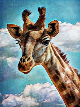 Picture of GIRAFFE IN THE CLOUDS