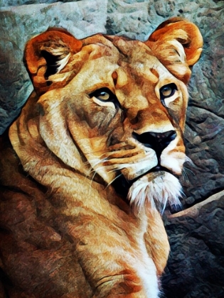 Picture of LIONESS BEAUTIFUL FOCUS